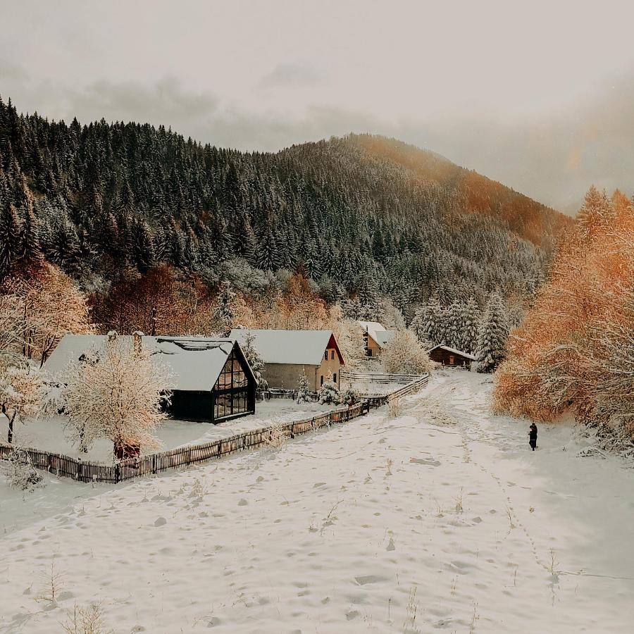 Cabana Sapte Breaza  Dış mekan fotoğraf