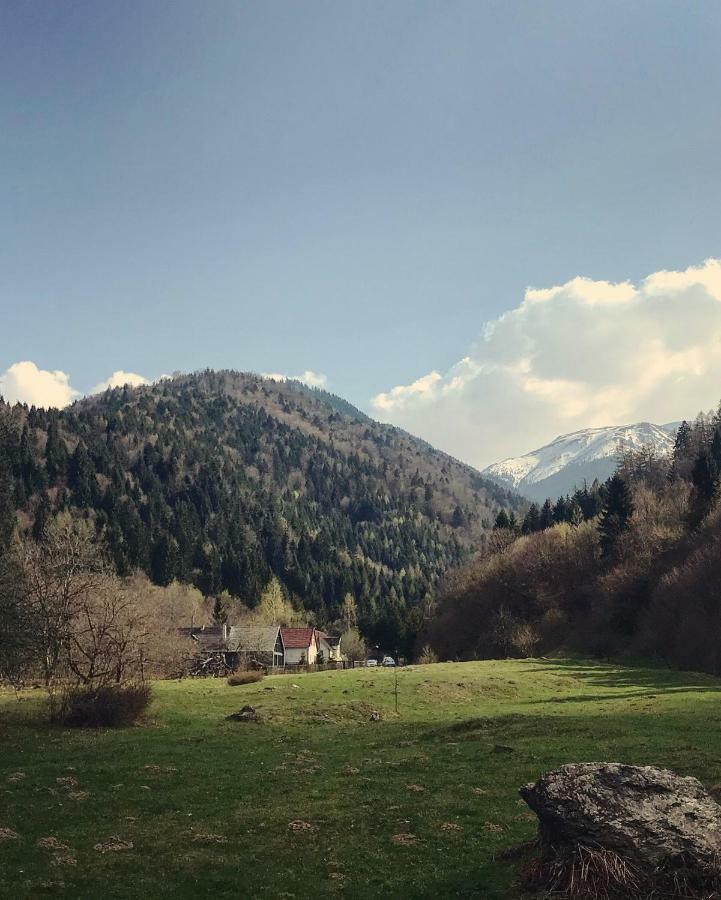 Cabana Sapte Breaza  Dış mekan fotoğraf