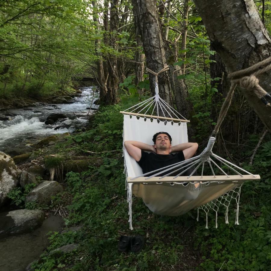 Cabana Sapte Breaza  Dış mekan fotoğraf